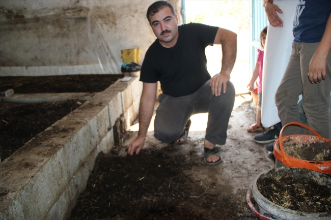 Hobi amaçlı başladığı solucan gübresi üretimi gelir kapısı oldu